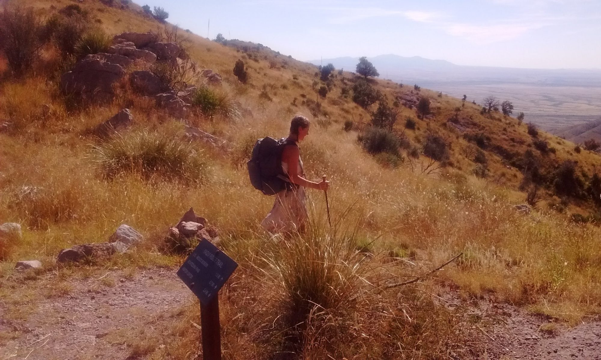 photo courtesy Sirena Dufault